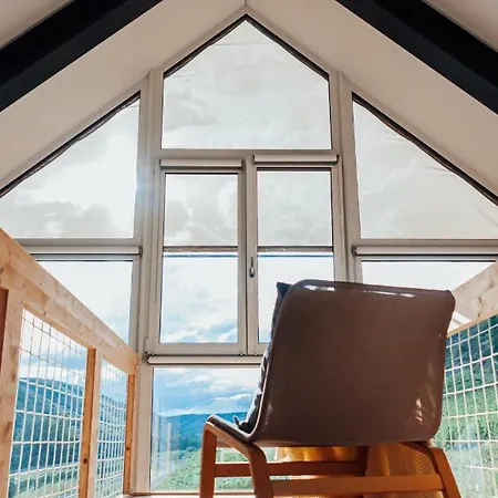 Mosel - Design-ferienhaeuser In - Direkt Am Weinberg * Pommern