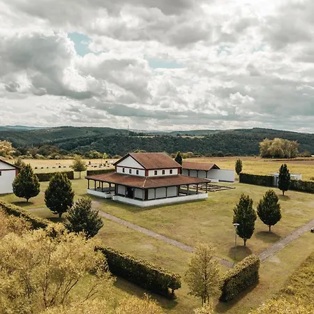 Ferienhaus Mosel - Design-ferienhäuser Mit Sauna&weinblick In - Direkt Am Weinberg *
