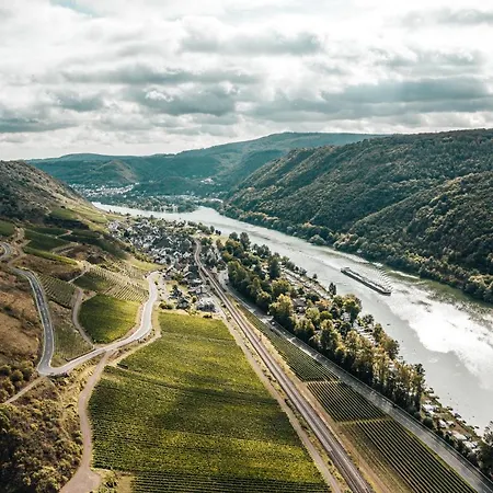 Mosel - Design-ferienhäuser Mit Sauna&weinblick In - Direkt Am Weinberg Ferienhaus