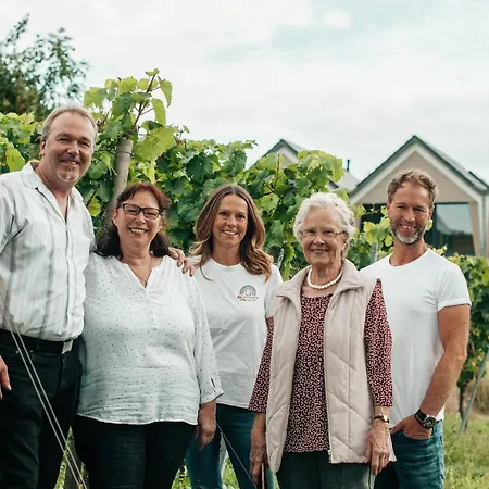 Ferienhaus Mosel - Design-ferienhäuser Mit Sauna&weinblick In - Direkt Am Weinberg *