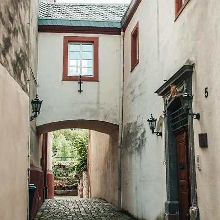 Mosel - Design-ferienhaeuser In - Direkt Am Weinberg Pommern
