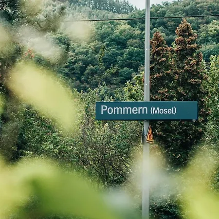 בית נופש Mosel - Design-ferienhaeuser In - Direkt Am Weinberg Pommern