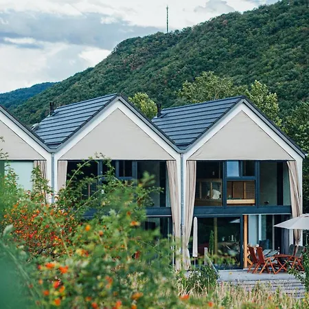 Mosel - Design-ferienhaeuser In - Direkt Am Weinberg * Pommern