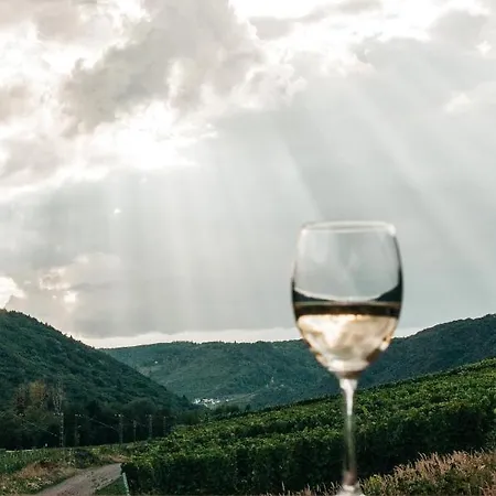 Mosel - Design-ferienhaeuser In - Direkt Am Weinberg