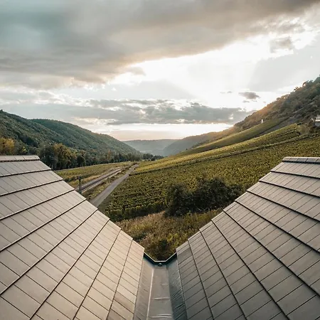 Mosel - Design-ferienhäuser Mit Sauna&weinblick In - Direkt Am Weinberg Pommern