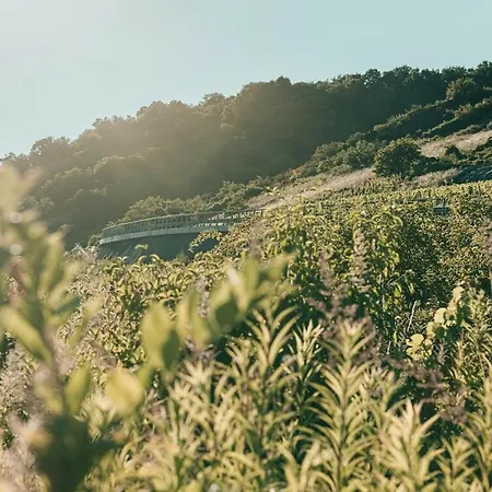Mosel - Design-ferienhaeuser In - Direkt Am Weinberg בית נופש *