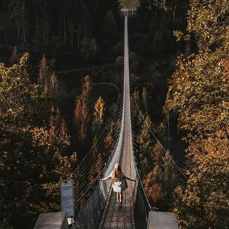 Mosel - Design-ferienhaeuser - Terrasse Und Traumblick, Naehe Cochem - Direkt Am Weinberg, Mitte Mit Sauna * Pommern