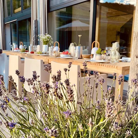 Mosel - Design-ferienhaeuser - Terrasse Und Traumblick, Naehe Cochem - Direkt Am Weinberg, Mitte Mit Sauna