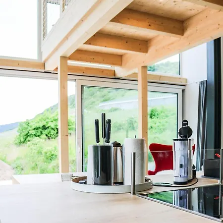 Mosel - Design-ferienhaeuser - Terrasse Und Traumblick, Naehe Cochem - Direkt Am Weinberg, Mitte Mit Sauna Pommern