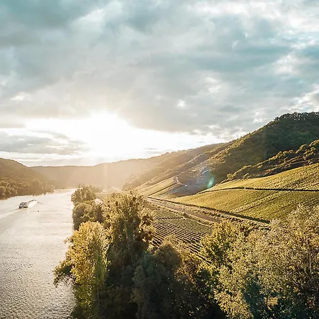 Mosel - Design-ferienhaeuser - Terrasse Und Traumblick, Naehe Cochem - Direkt Am Weinberg, Mitte Mit Sauna *