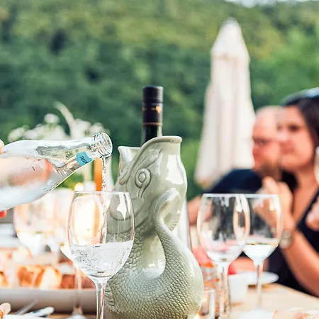 Mosel - Design-ferienhaeuser - Terrasse Und Traumblick, Naehe Cochem - Direkt Am Weinberg, Mitte Mit Sauna Dom wakacyjny
