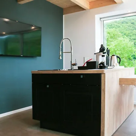 Mosel - Design-ferienhäuser Mit Sauna&weinblick In - Direkt Am Weinberg Ferienhaus