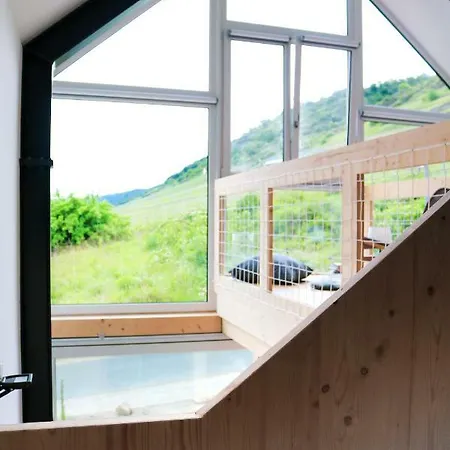 Mosel - Design-ferienhaeuser In - Direkt Am Weinberg *