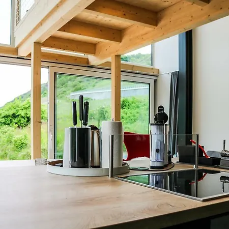 Mosel - Design-ferienhäuser Mit Sauna&weinblick In - Direkt Am Weinberg Ferienhaus *
